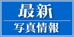 �ŐV�ʐ^���