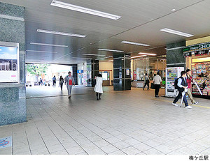 梅ケ丘駅(現地まで160ｍ) レクセル梅ヶ丘