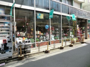 周辺環境:島田商店 経堂パーク・マンション
