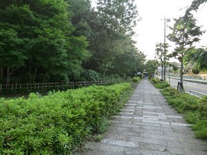 周辺環境:岡本隧道公園 セボン二子玉川園