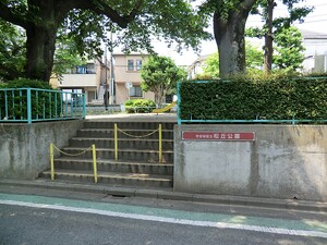 周辺環境:松丘公園 桜新町シティハウス
