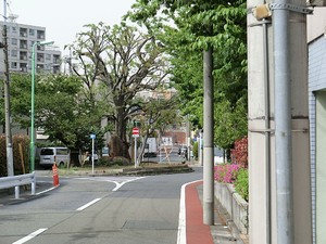 周辺環境:芦毛塚街かど公園 スカーラ学芸大学