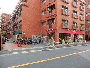周辺環境:テスコ小石川店 パーク・ハイム文京春日