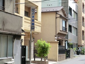 周辺環境:八木医院 ロイヤルシーズン麻布永坂
