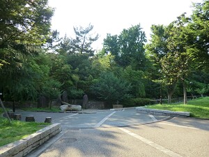 周辺環境:梅里公園 ヴィンテージ高円寺南