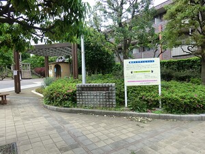周辺環境:八幡山西公園 Ｄグラフォート世田谷芦花公園