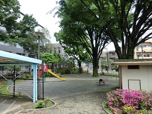 周辺環境:松沢公園 プレシス千歳船橋