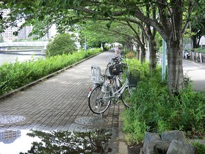 周辺環境:新川公園 センチュリーパークタワー