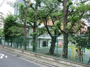 周辺環境:天神幼稚園 パラスト新宿余丁町