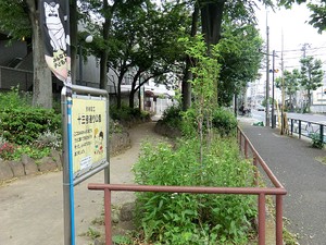 周辺環境:十三号通り公園 フローレンスパレス笹塚