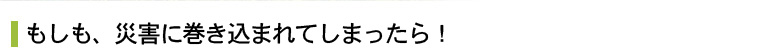 常緑樹による生垣で延焼を防ぐ。