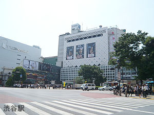 渋谷駅(現地まで560ｍ) サン・フローラハイツ渋谷