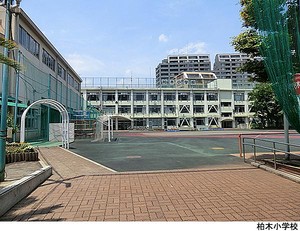 柏木小学校 ジオ西新宿ツインレジデンス　イースト