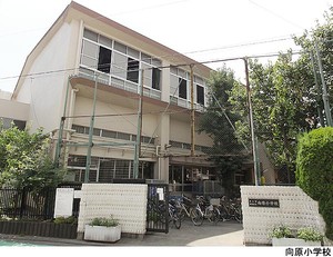 向原小学校 目黒区目黒本町５丁目(12800万円)｜新築一戸建て｜住建ハウジング