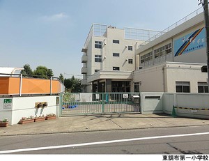 東調布第一小学校 大田区田園調布本町(6300万円)｜土地・売地｜住建ハウジング