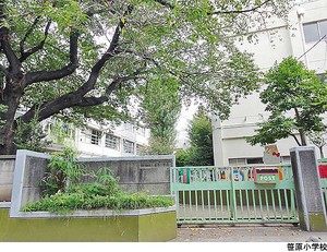 笹原小学校 世田谷区桜丘４丁目(15800万円)｜中古一戸建て｜住建ハウジング