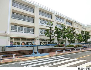 梅丘中学校 代田セントラルマンション