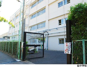 砧中学校 土地・売地 世田谷区成城４丁目 14598万円 成城学園前駅｜住建ハウジング