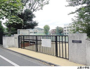 上原小学校 土地・売地 渋谷区上原３丁目 64000万円 代々木上原駅｜住建ハウジング