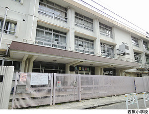 西原小学校 マンション(一棟) 渋谷区大山町 58000万円 代々木上原駅｜住建ハウジング