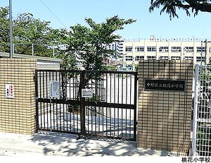 桃花小学校 モンテベルデ新中野