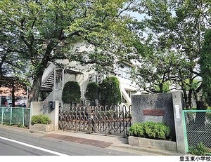 豊玉東小学校 桜台ヒルズ