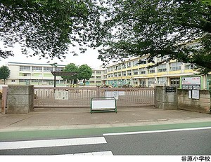 谷原小学校 新築一戸建て 練馬区高野台５丁目 7900万円 石神井公園駅｜住建ハウジング