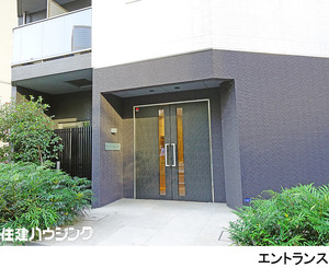  ＳＨＩＢＵＹＡ　ＨＩＬＬ　ＴＯＰ