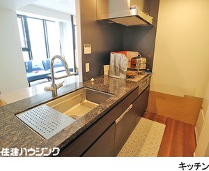 ディスポーザー・食洗機付きのキッチンです アルビオ・ザ・タワー千代田飯田橋