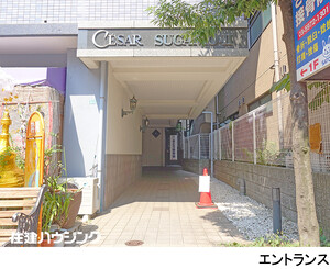  事務所(区分) 豊島区巣鴨４丁目 セザール第二巣鴨 5600万円 巣鴨駅｜住建ハウジング