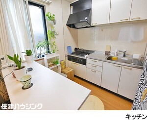  中古一戸建て 豊島区西池袋２丁目 9800万円 池袋駅｜住建ハウジング