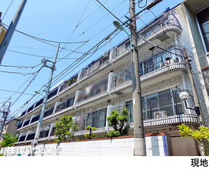 秀和月島レジデンス(7699万円)｜中古マンション（新築･中古）｜住建ハウジング