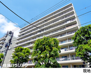 月島リバーハウスＢ棟(9990万円)｜中古マンション（新築･中古）｜住建ハウジング