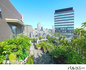  ディオレ西新宿