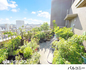  ディオレ西新宿