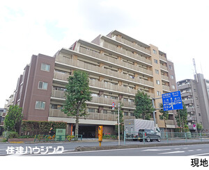 ルピナス用賀