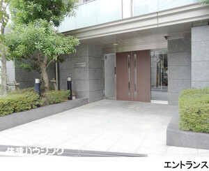  グレイスコート白金