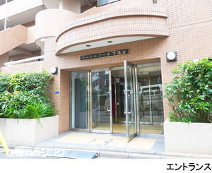  マートルコート下落合