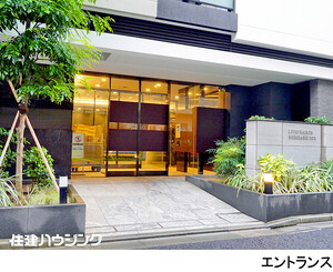  リビオレゾン新橋ｎｅｘ