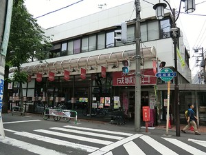 周辺環境:成城石井成城店 成城ダイヤハイツ