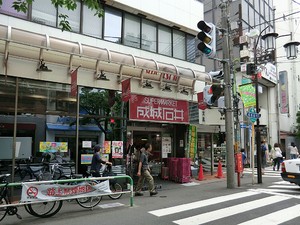 周辺環境:成城石井成城店 ディアナコート成城