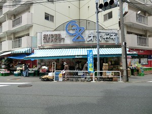 周辺環境:オオゼキ経堂店 ファミール経堂アンシェール