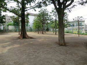 周辺環境:南公園 ファミール経堂アンシェール