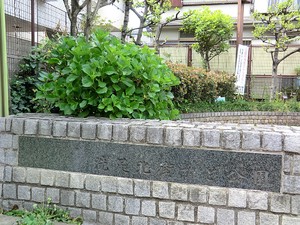 周辺環境:洗足北街かど公園 マンション(一棟) 目黒区洗足１丁目 23690万円 西小山駅｜住建ハウジング