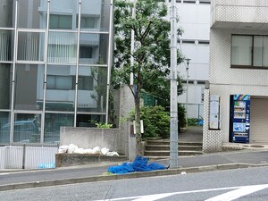 周辺環境:中坂児童遊園 東京レジデンス