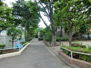 周辺環境:八幡山三丁目公園 Ｄグラフォート世田谷芦花公園