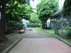 周辺環境:上馬二丁目公園 グローリオ駒沢大学