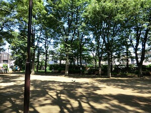 周辺環境:西永福公園 新築一戸建て 杉並区下高井戸３丁目 6880万円 西永福駅｜住建ハウジング