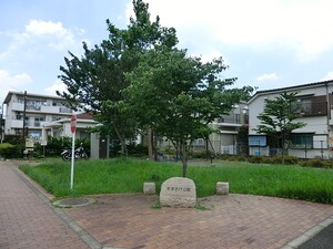 周辺環境:すずかけ公園 ＬＡＹＥＲＳ　ＨＯＵＳＥ　杉並善福治川公園