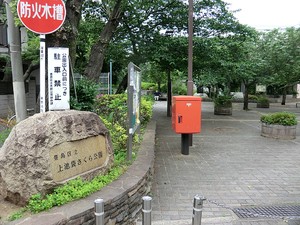 周辺環境:上池袋さくら公園 豊島区上池袋２丁目(19800万円)の旅館｜住建ハウジング